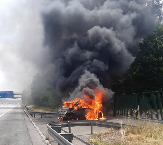 20220627_120340_resized zugeschnitten groß.jpg